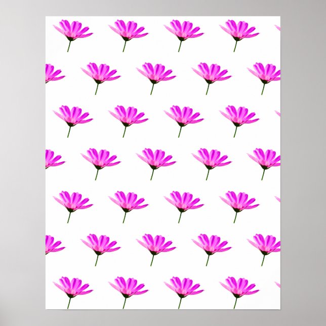 Poster Daisy Rosa (Frente)