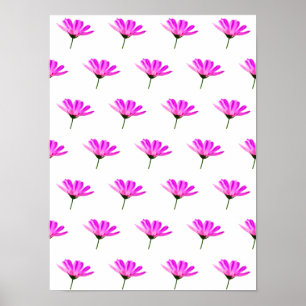 Poster Daisy Rosa