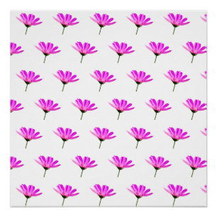 Póster Daisy Rosa