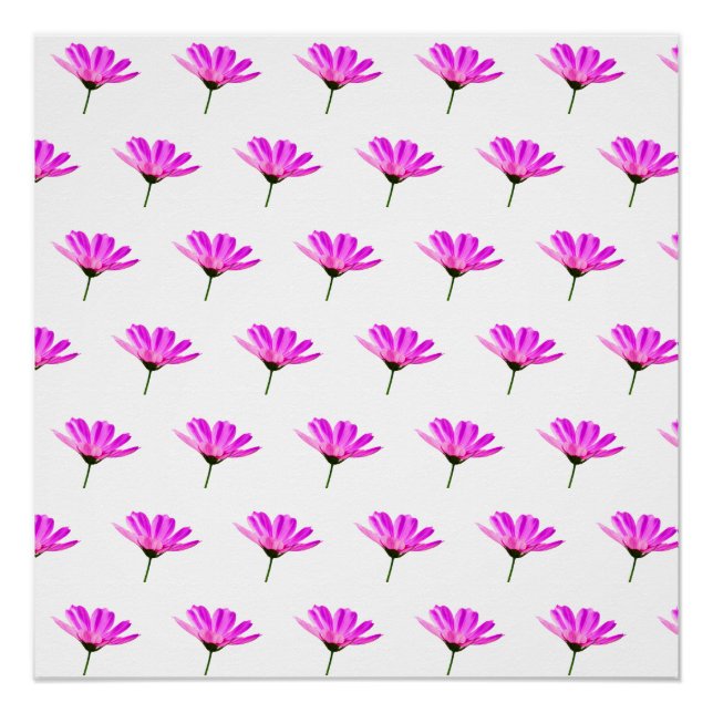 Póster Daisy Rosa (Frente)