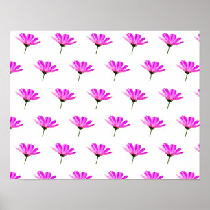Poster Daisy Rosa
