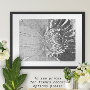 Póster Daisy Shades da Cinza Floral