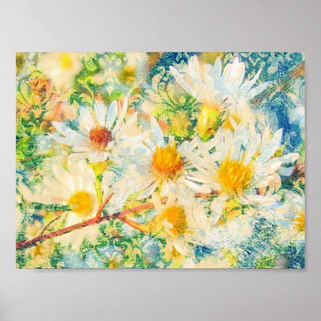 Poster Daisy Wallpaper (Frente)