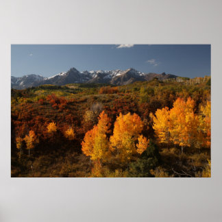 Póster Dallas Divide