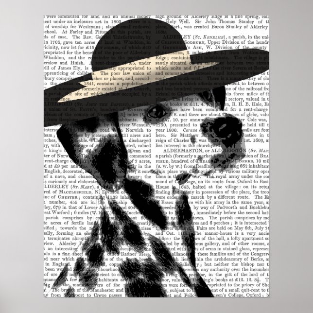 Poster Dalmácia e Black Hat Brimmed (Frente)