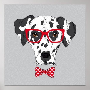 Poster Dalmatian elegante