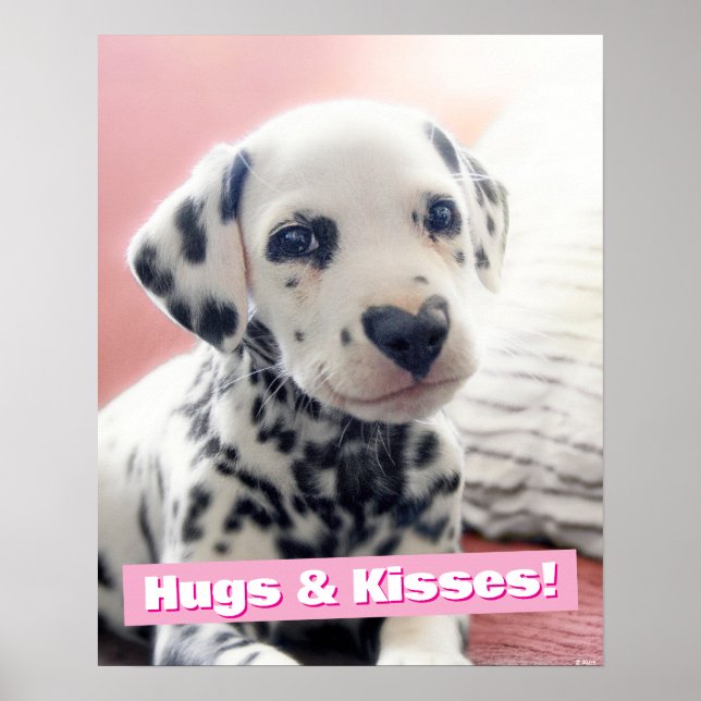 Poster Dalmatian Heart Nose (Frente)