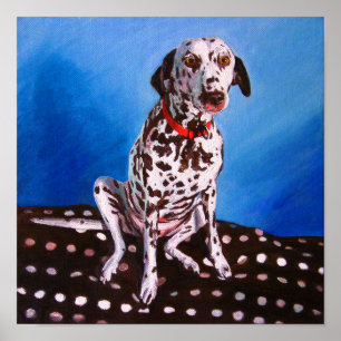 Poster Dalmatian no coxim manchado 2011