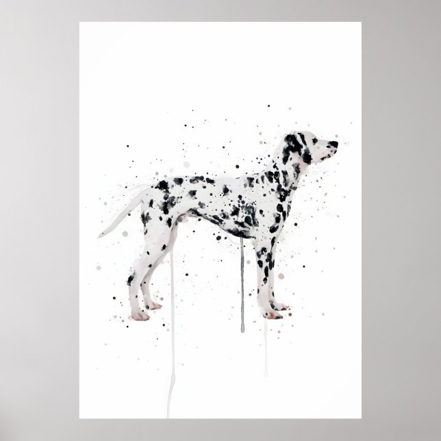 Poster  Dalmation Dog (Frente)