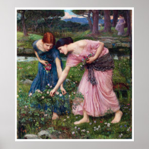 Poster Damas Colhendo Rosas, John William Waterhouse
