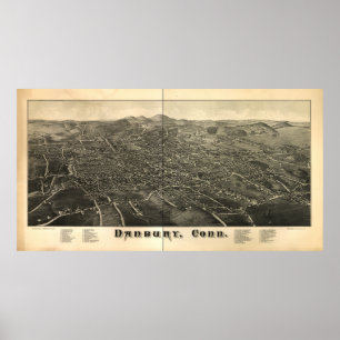 Póster Danbury Connecticut 1884 mapas panorâmicos