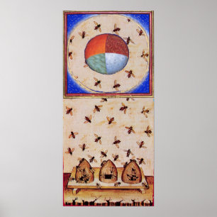 PÓSTER DANÇA DAS ABELHAS DE MEL COM QUATRO ELEMENTOS