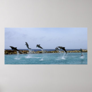 Póster Dança de golfinho