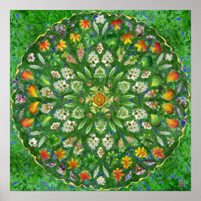 Poster Dança Florestal (Frente)