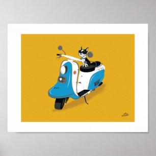 Póster Dança no coelho de Fuji