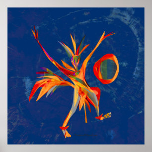 Poster Dança Stellar