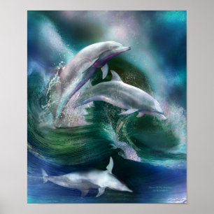 Poster Dance Of The Dolphins Art Poster/Print