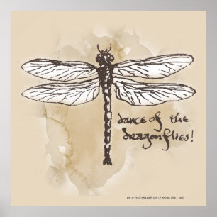 Póster Dance of the Dragonflies
