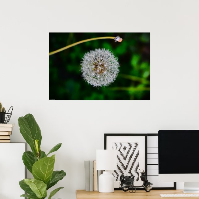 Poster Dandelion (Escritório em casa)