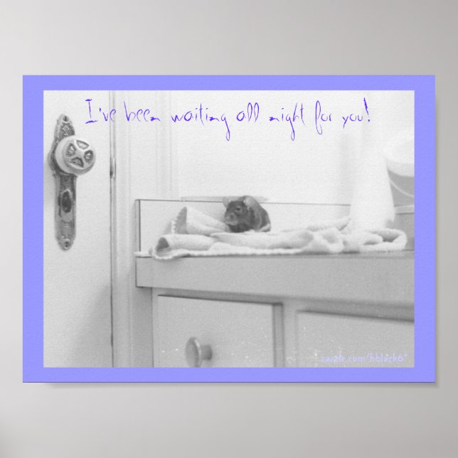 Póster Dandelion (Frente)