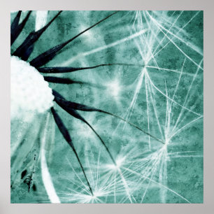 Póster Dandelion espécie - Pusteblume arte 2012 008