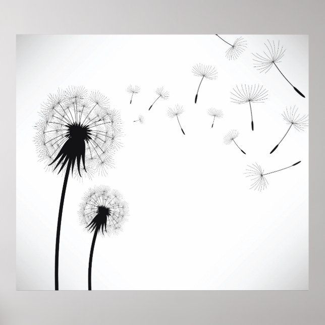 Poster Dandelion Flower (Frente)