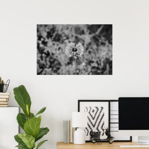 Poster Dandelion - nariz,