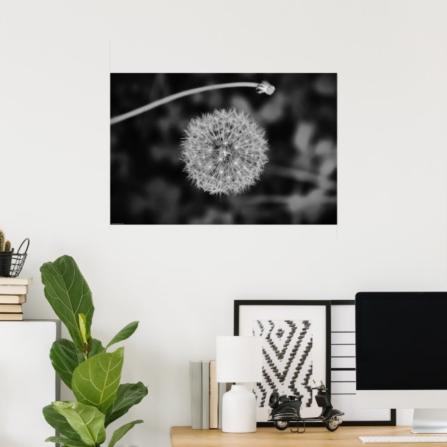 Poster Dandelion - Noir, (Escritório em casa)