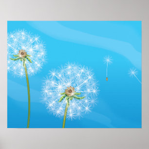 Poster Dandelion Plant