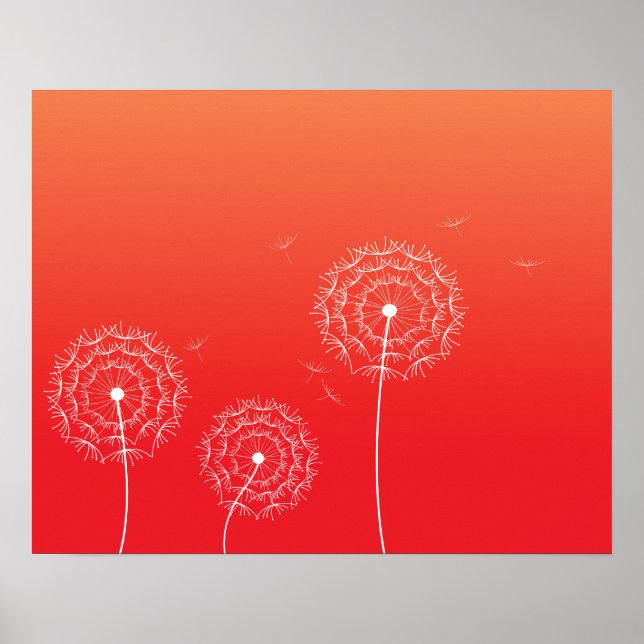 Poster Dandelion Red Sunset em primavera (Frente)