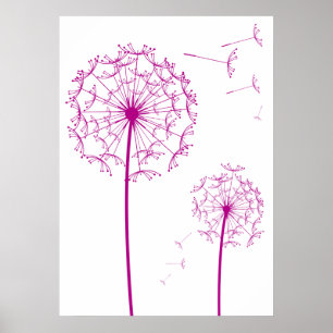 Poster dandelion rosa