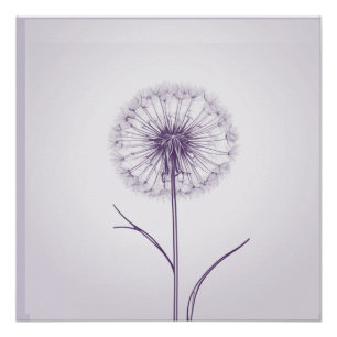 Póster Dandelion Roxo