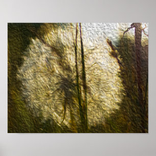 Póster Dandelion seed head (oil painting)