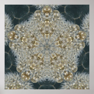 Póster Dandelion Star Nov 2012