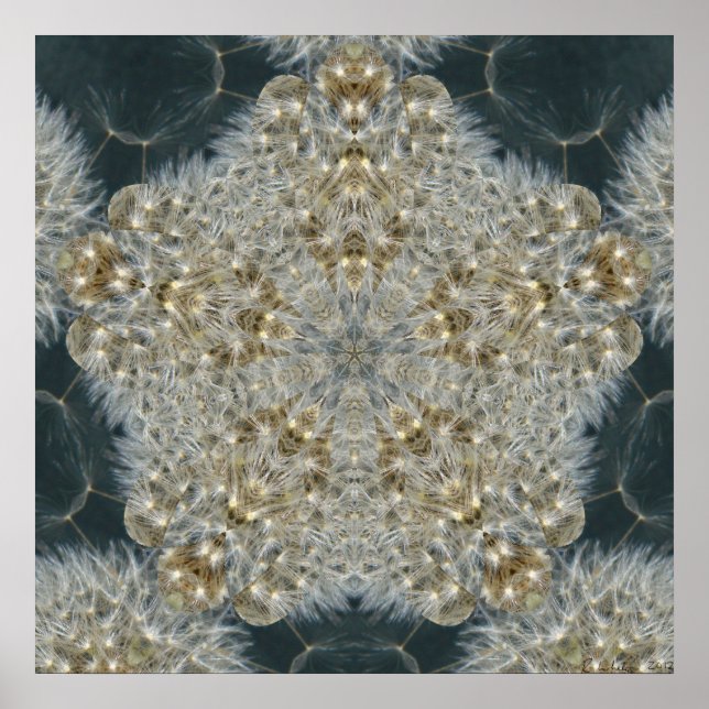 Póster Dandelion Star Nov 2012 (Frente)