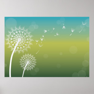 Poster Dandelion Wind Flower
