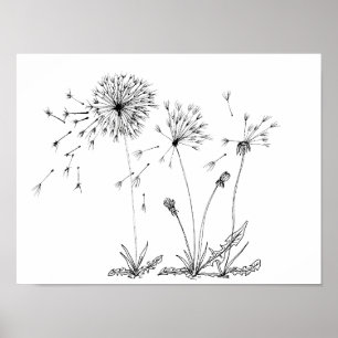 Poster Dandelions
