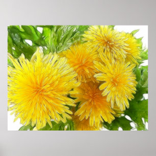 Póster Dandelions!