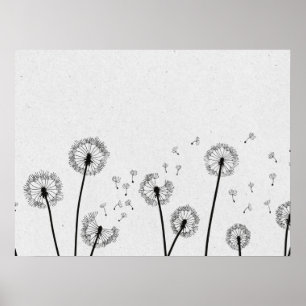Poster Dandelions Flores Pappus Spores Cinzas
