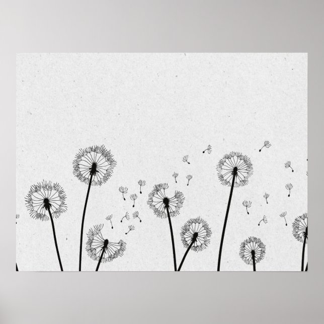 Poster Dandelions Flores Pappus Spores Cinzas (Frente)