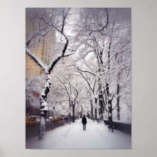 Póster Dando uma volta um passeio nevado da cidade