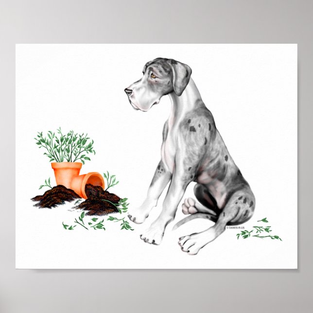 Póster Dane Grande Cachorro Malcriado MerleB UC (Frente)