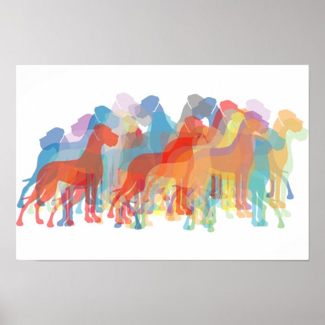 Póster Danes coloridas (Frente)