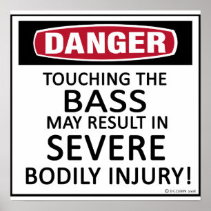 Poster Danger Bass