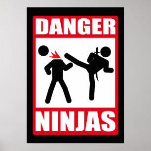 Póster Danger Ninjas