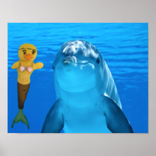 Poster Danni, a Sereia e o amigo do golfinho
