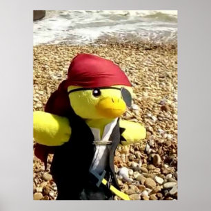 Poster Danny Duck o Pirata