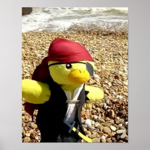 Poster Danny Duck o Pirata