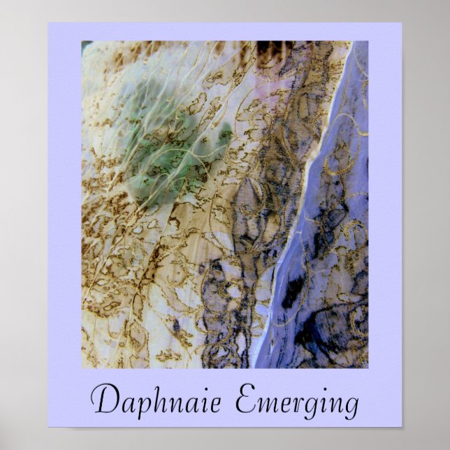 Póster Daphnaie Emerging (Frente)