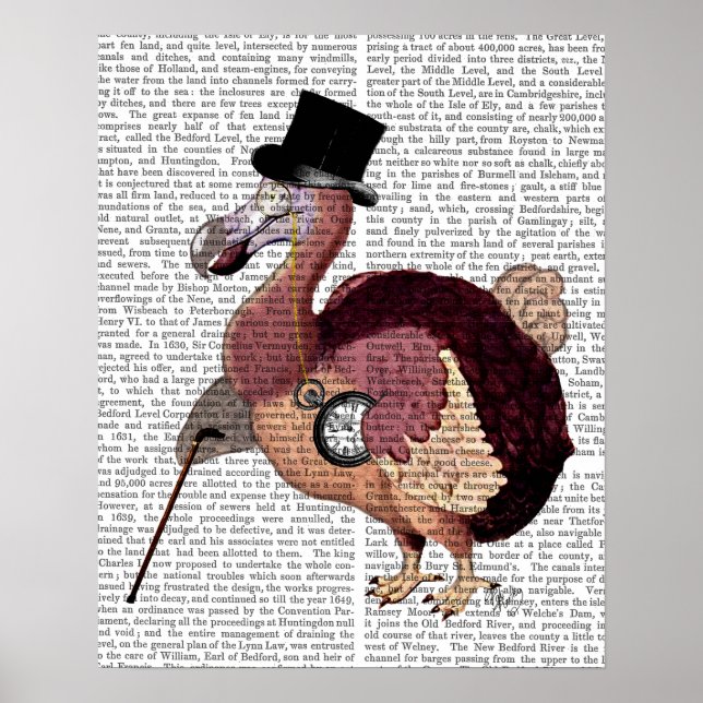 Poster Dapper Dodo (Frente)